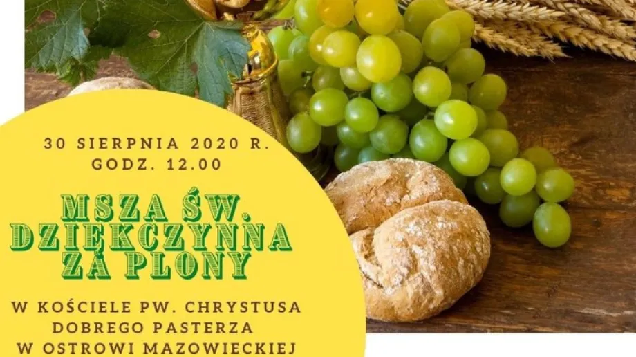 Starostwo Powiatowe w Ostrowi Mazowieckiej