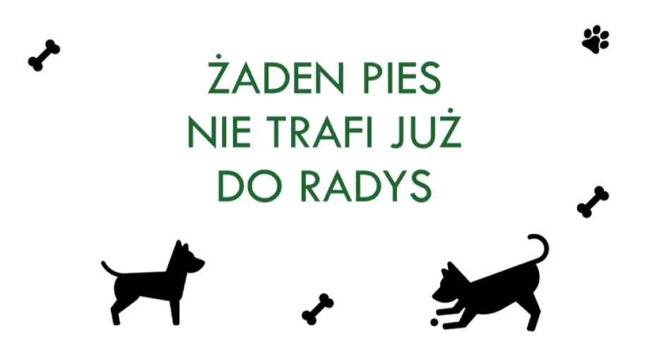 Urząd Miasta Ostrów Mazowiecka z dniem 10 sierpnia wypowiedział umowę ze schroniskiem w Radysach
[foto]24238[/foto]
W chwili obecnej przygoto