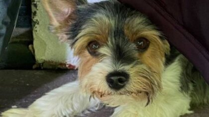 Ostrów Mazowiecka - Do naszej redakcji z prośbą o pomoc zgłosiła się jedna z czy