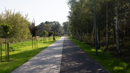 Ostrów Mazowiecka - Pomiędzy portugalskim, a niemieckim supermarketem w Ostrowi 