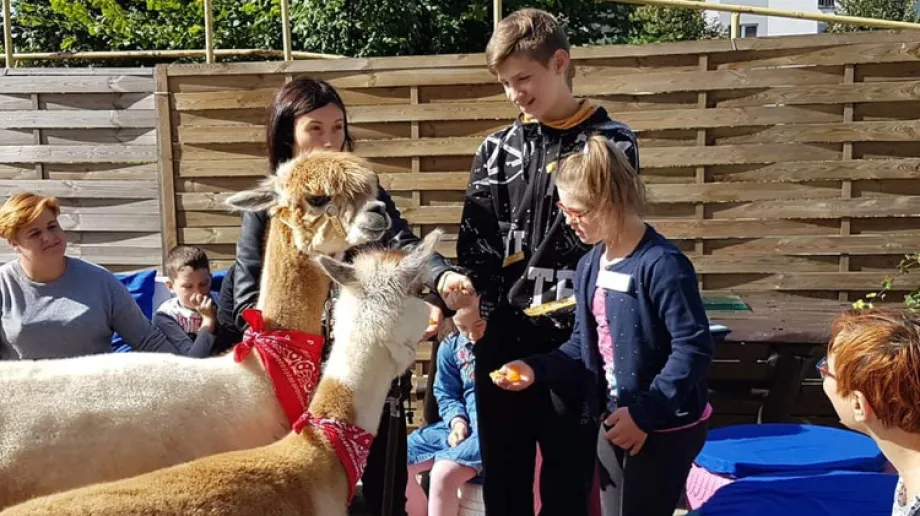 Zespół Szkół Specjalnych w Starym Lubiejewie