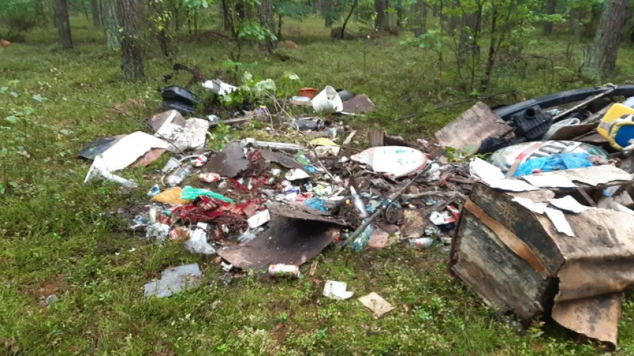 Nadleśnictwo Ostrów Mazowiecka, Lasy Państwowe