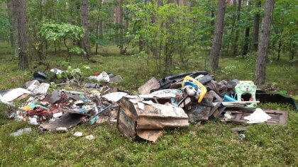 Ostrów Mazowiecka - Przybywa śmieci w Ostrowskich lasach. O sytuacji alarmuję Na