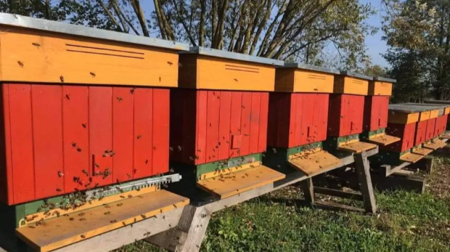 fot. Urząd Gminy Małkinia Górna