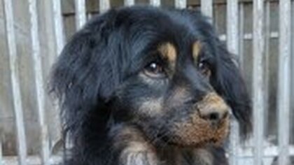 Ostrów Mazowiecka - Mieszkaniec województwa warmińsko-mazurskiego 24 październik