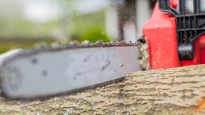 Ostrów Mazowiecka - Policjanci z Wydziału Kryminalnego Komendy Powiatowej Policj