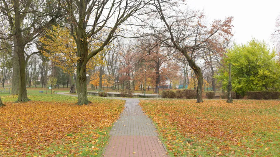 W poniedziałek będzie pochmurno i mglisto z przejaśnieniami, a na południu rozpogodzeniami. Termometry pokażą od 8 st. C na Suwalszczyźnie i