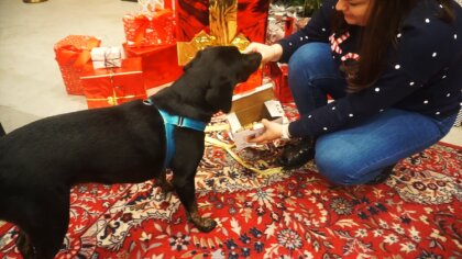 Ostrów Mazowiecka - Miejski Dom Kultury w Ostrowi Mazowieckiej zaprezentował fil