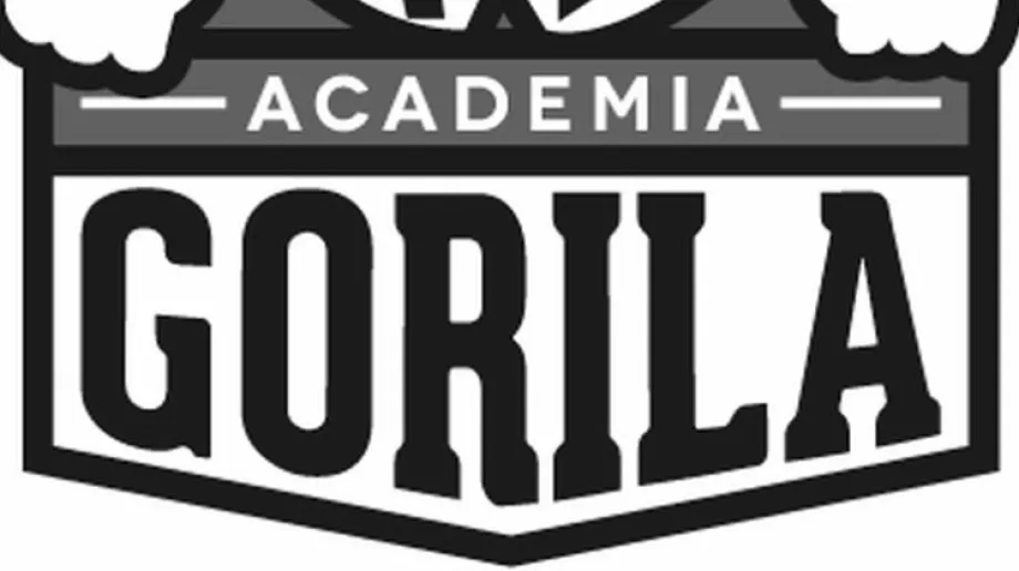 fot. Academia Gorila Ostrów Mazowiecka