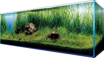 Ostrów Mazowiecka - Wiele osób pragnie mieć w swoim domu piękne, efektowne i cie