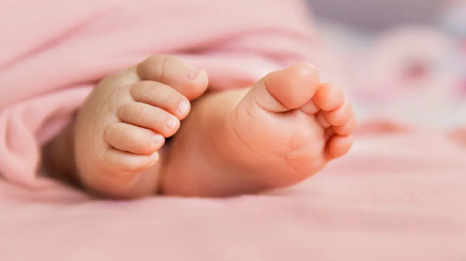 Zdjęcie ilustracyjne