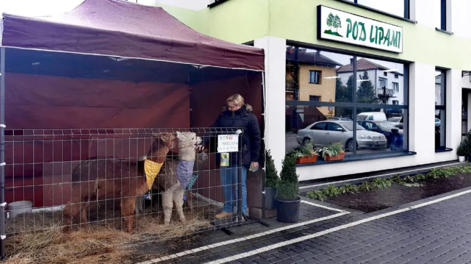 fot. Gospodarstwo Ogrodnicze 