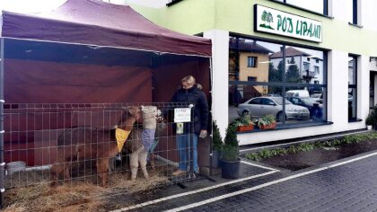Ostrów Mazowiecka - Gospodarstwo ogrodnicze 