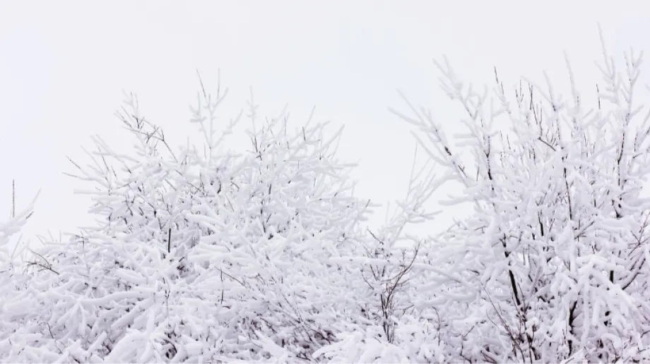 Zdjęcie ilustracyjne