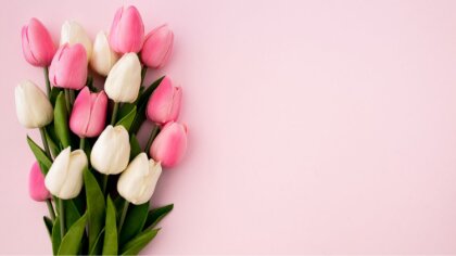 Ostrów Mazowiecka - Uważane za święto, ale i dobry zwyczaj. Obchodzony corocznie