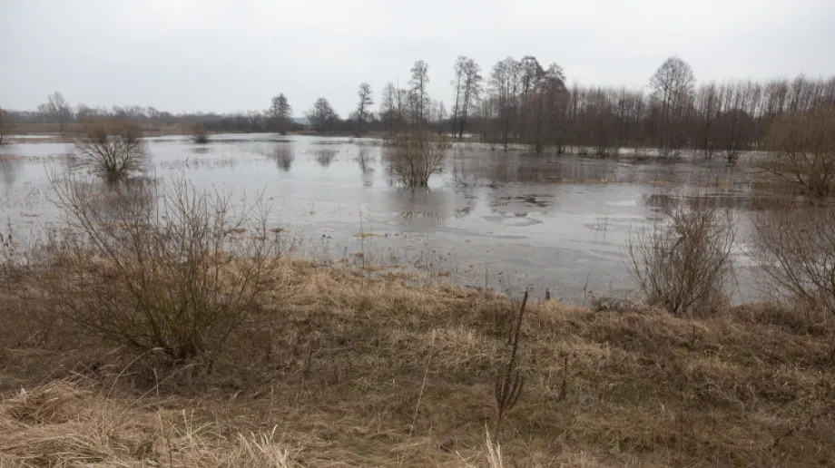 Zdjęcie wykonane 4 marca 2021 r.