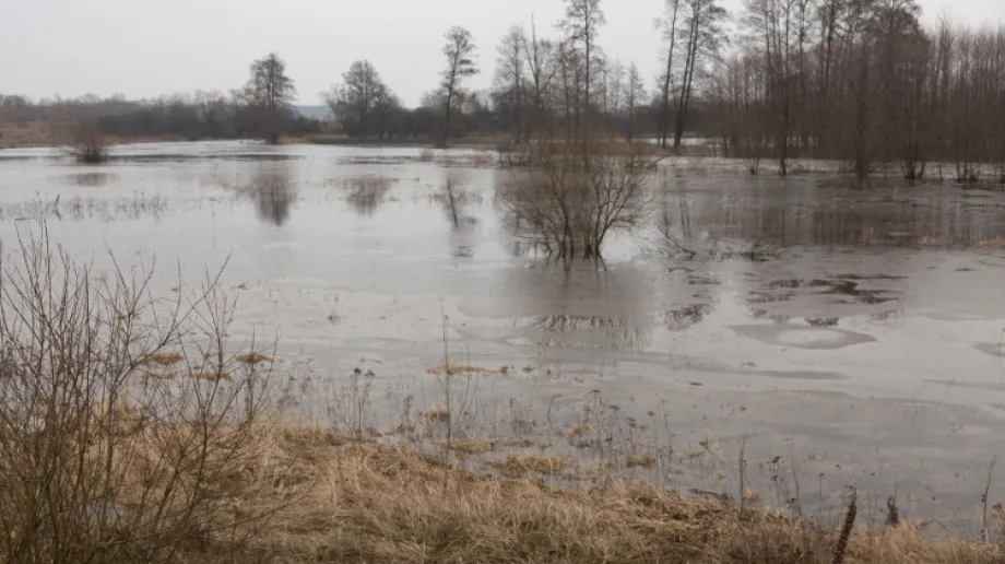 Zdjęcie wykonane 4 marca 2021 r.