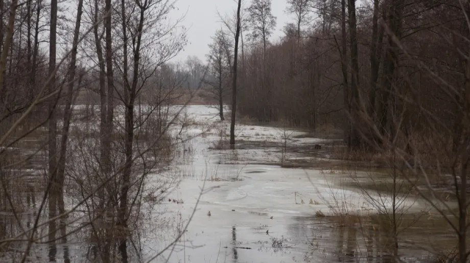 Zdjęcie wykonane 4 marca 2021 r.