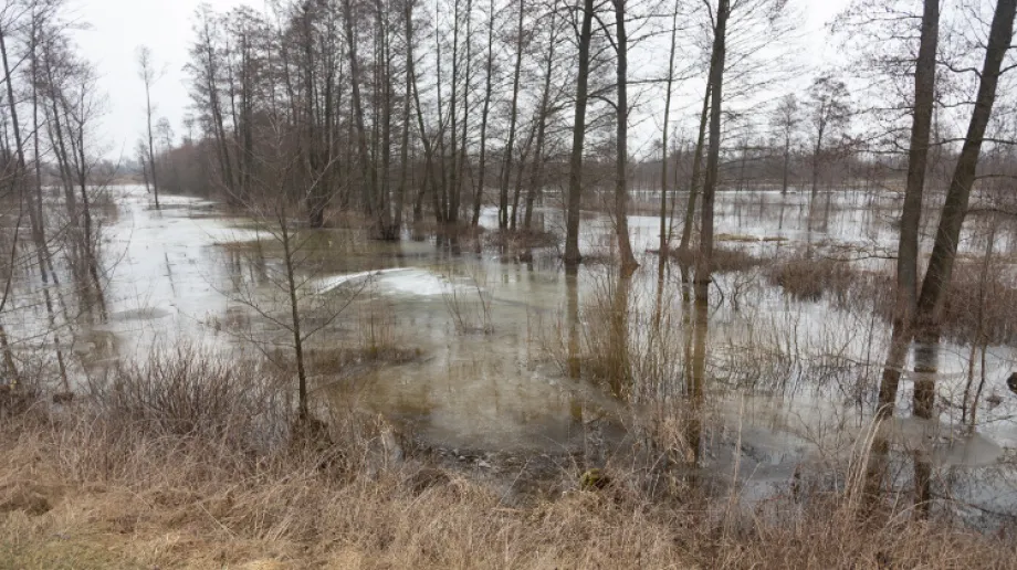 Fot. archiwum (zdjęcie wykonane 4 marca 2021 r.)