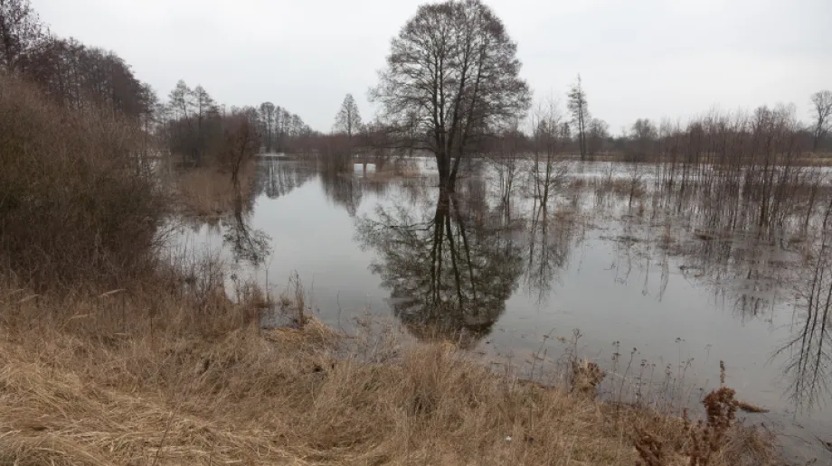 Zdjęcie wykonane 4 marca 2021 r.