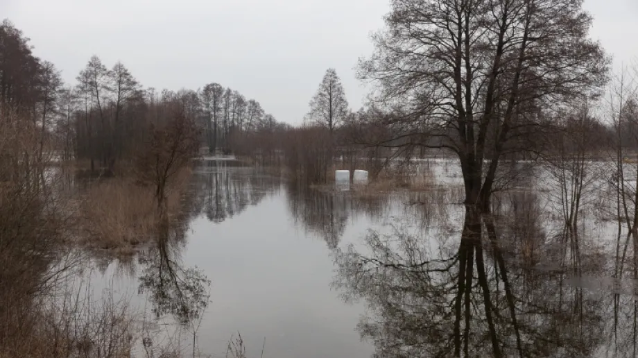 Zdjęcie wykonane 4 marca 2021 r.