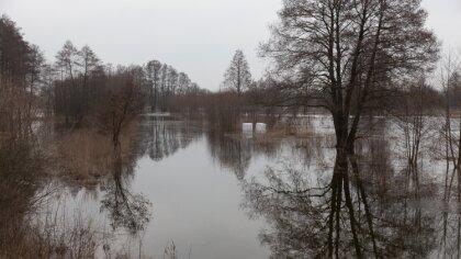 Ostrów Mazowiecka - W rejonie stacji hydrologicznej koło Małkini Górnej poziom r