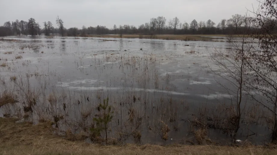Zdjęcie wykonane 4 marca 2021 r.
