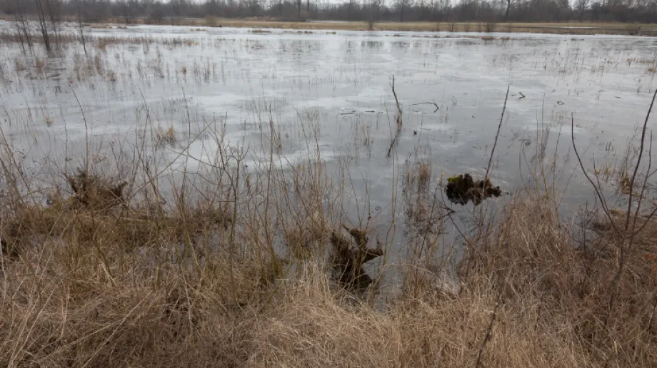 Zdjęcie wykonane 4 marca 2021 r.