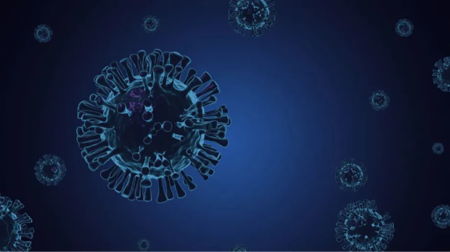 Zdjęcie ilustracyjne