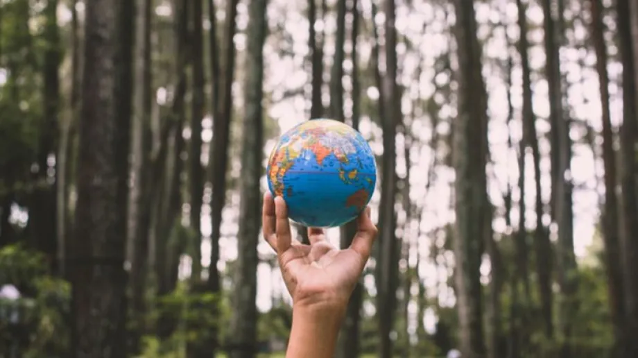 Zdjęcie ilustracyjne