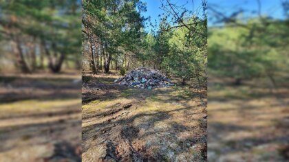 Ostrów Mazowiecka - O problemie zalegających poremontowych śmieci w lesie w miej