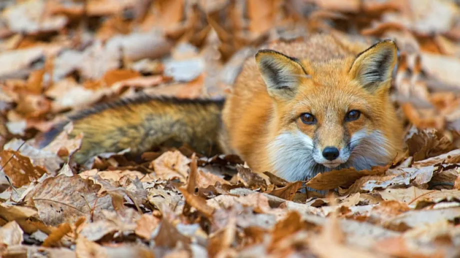 Zdjęcie ilustracyjne