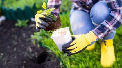 Ostrów Mazowiecka - Gminna Biblioteka Publiczna w Wąsewie organizuje konkurs z o