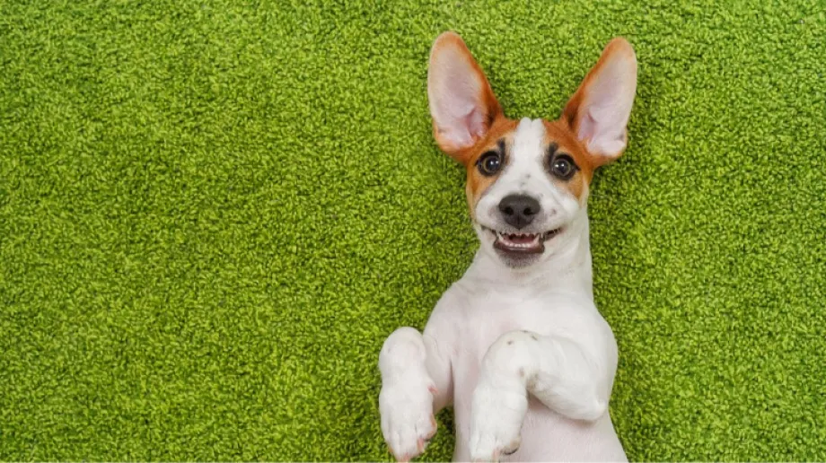 Zdjęcie ilustracyjne