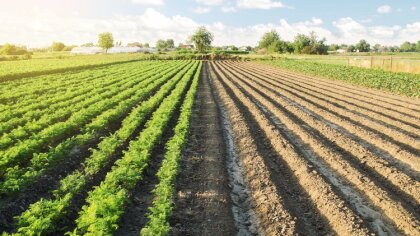 Ostrów Mazowiecka - Agencja Restrukturyzacji i Modernizacji Rolnictwa organizuje