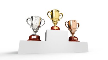 Ostrów Mazowiecka - Zarząd Powiatu w Ostrowi Mazowieckiej przyznał nagrody i wyr