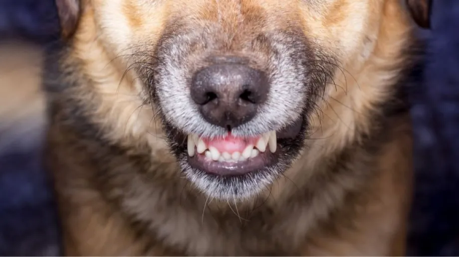 Zdjęcie ilustracyjne