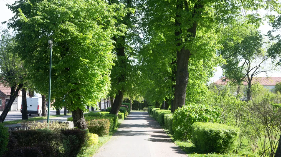 Zachmurzenie zmienne z przelotnymi opadami deszczu, a w północnej części także z burzami. Temperatura od 20°C w rejonie Zatoki Gdańskiej do 
