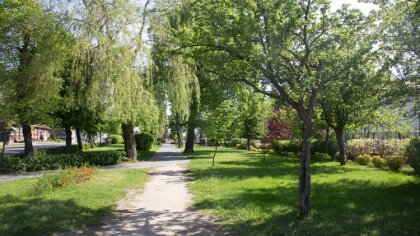 Ostrów Mazowiecka - Na Suwalszczyźnie i Podlasiu słonecznie. Poza tym przelotne 