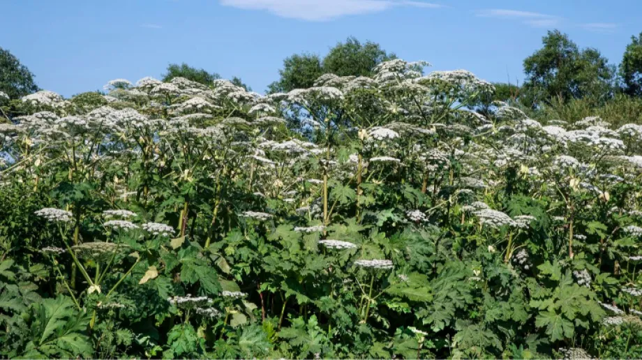 Zdjęcie ilustracyjne