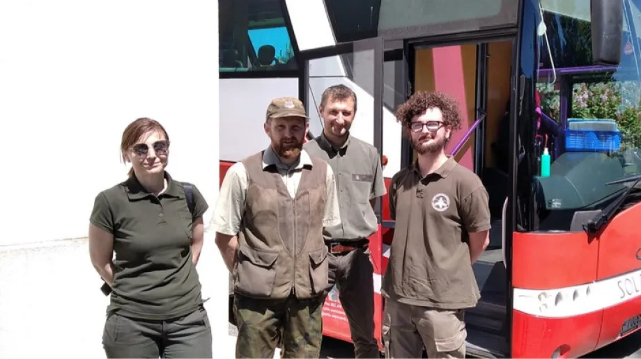 fot. Nadleśnictwo Ostrów Mazowiecka/ facebook