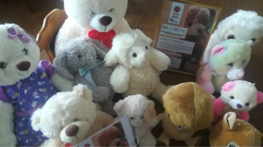 Fot. KPP w Ostrowi Mazowieckiej