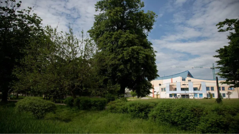 Pogoda w nadchodzących dniach przyniesie niektórym regionom Polski przelotny deszcz. Nie zabraknie też miejsc z pogodną aurą. Temperatura w ni