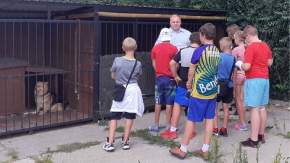 Ostrów Mazowiecka - Na terenie miasta Ostrów Mazowiecka organizowane są spotkani