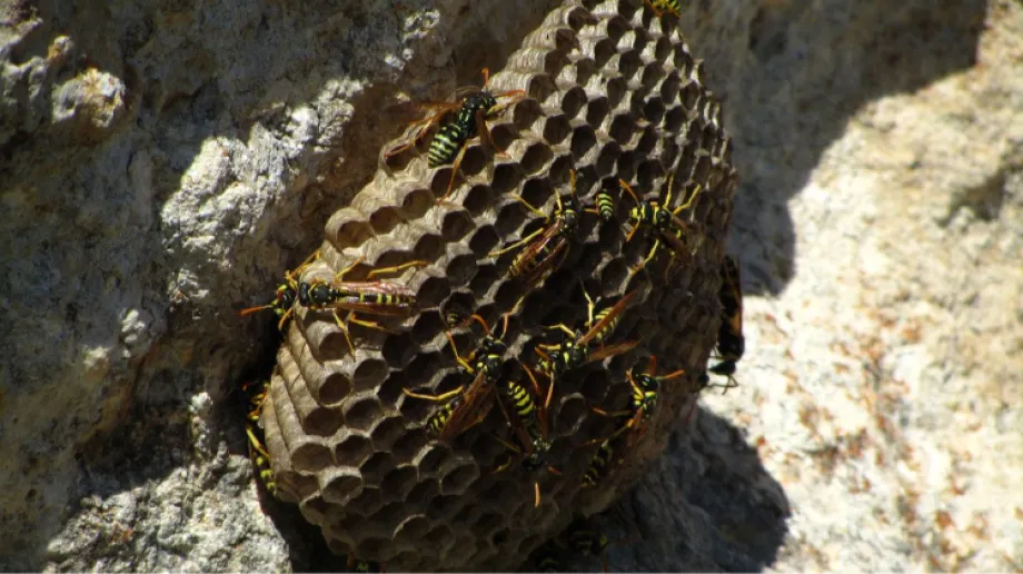 Zdjęcie ilustracyjne