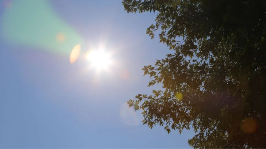 Zdjęcie ilustracyjne