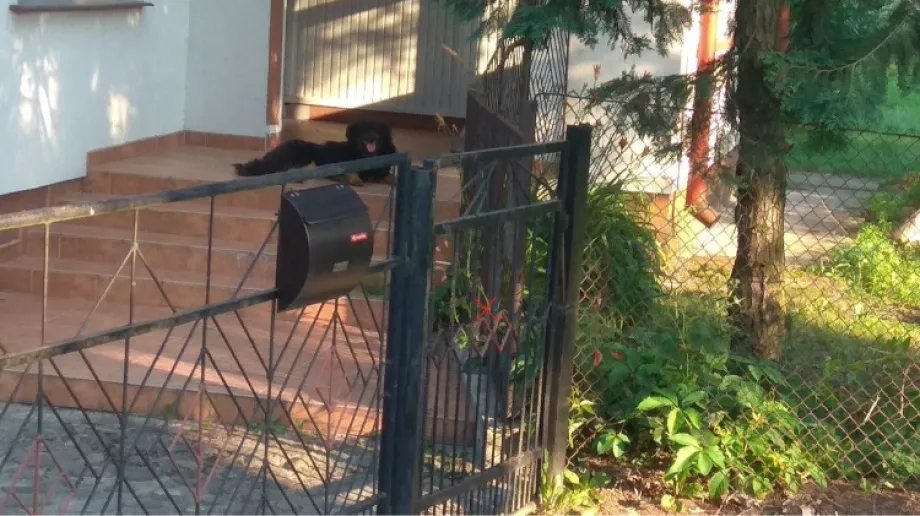 Fot. OSP Zaręby Kościelne / Facebook