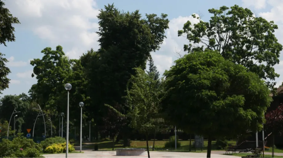 Pogoda w weekend upłynie pod znakiem pogodnej aury, powieje silniejszy wiatr. Termometry pokażą maksymalnie 23 stopnie Celsjusza. Z nowym tygodn