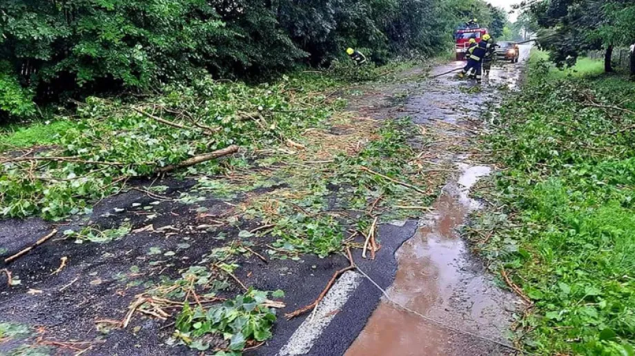Fot. Ochotnicza Straż Pożarna w Bogutach Piankach / Facebook