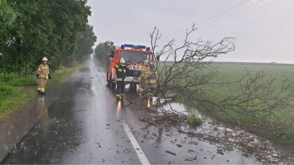 Ostrów Mazowiecka - Strażacy z OSP Andrzejewo usuwali pozostałości po wichurze, 